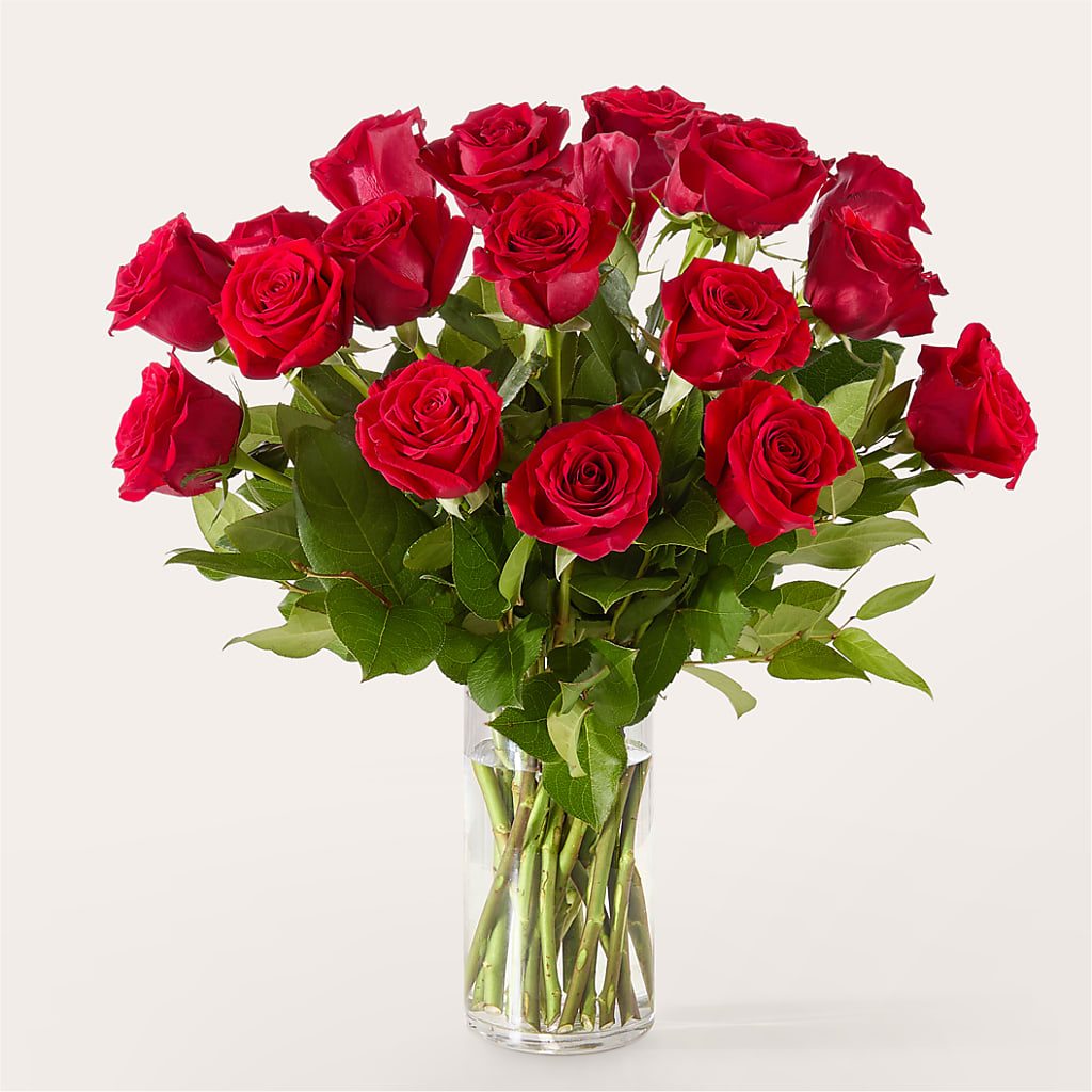 The One Red Rose Bouquet – MARGARITA'S FLOWERS LLC, Pembroke Pines FL