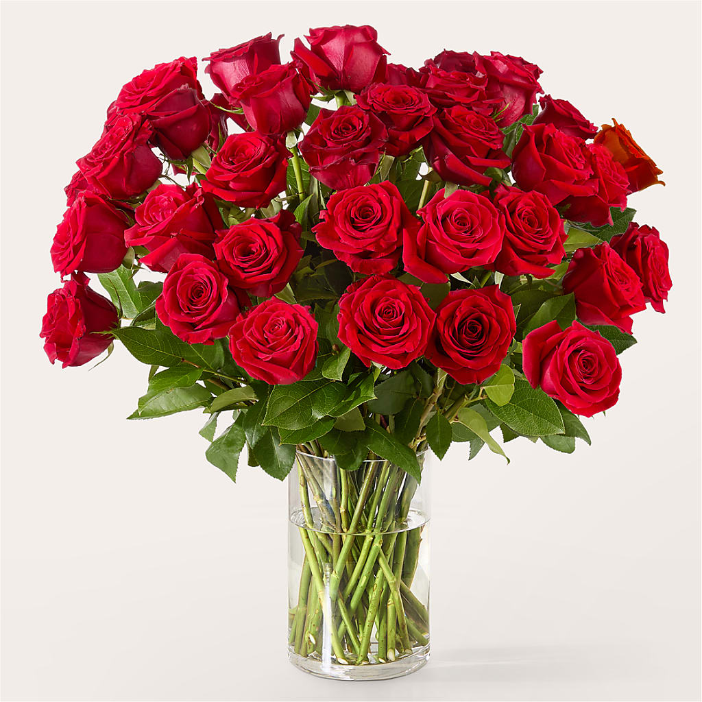 The One Red Rose Bouquet – MARGARITA'S FLOWERS LLC, Pembroke Pines FL