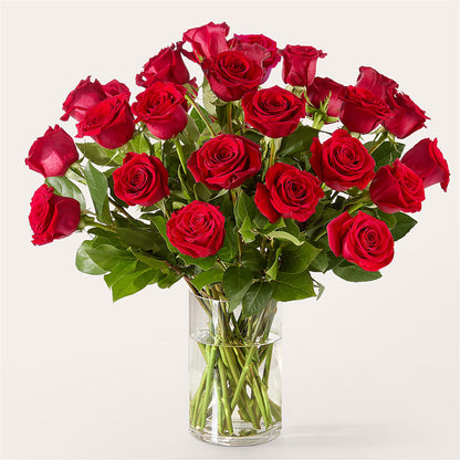 The One Red Rose Bouquet – MARGARITA'S FLOWERS LLC, Pembroke Pines FL