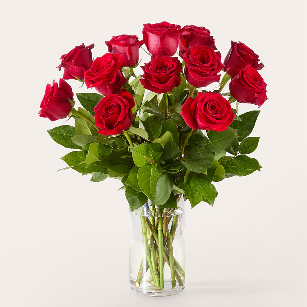 The One Red Rose Bouquet – MARGARITA'S FLOWERS LLC, Pembroke Pines FL