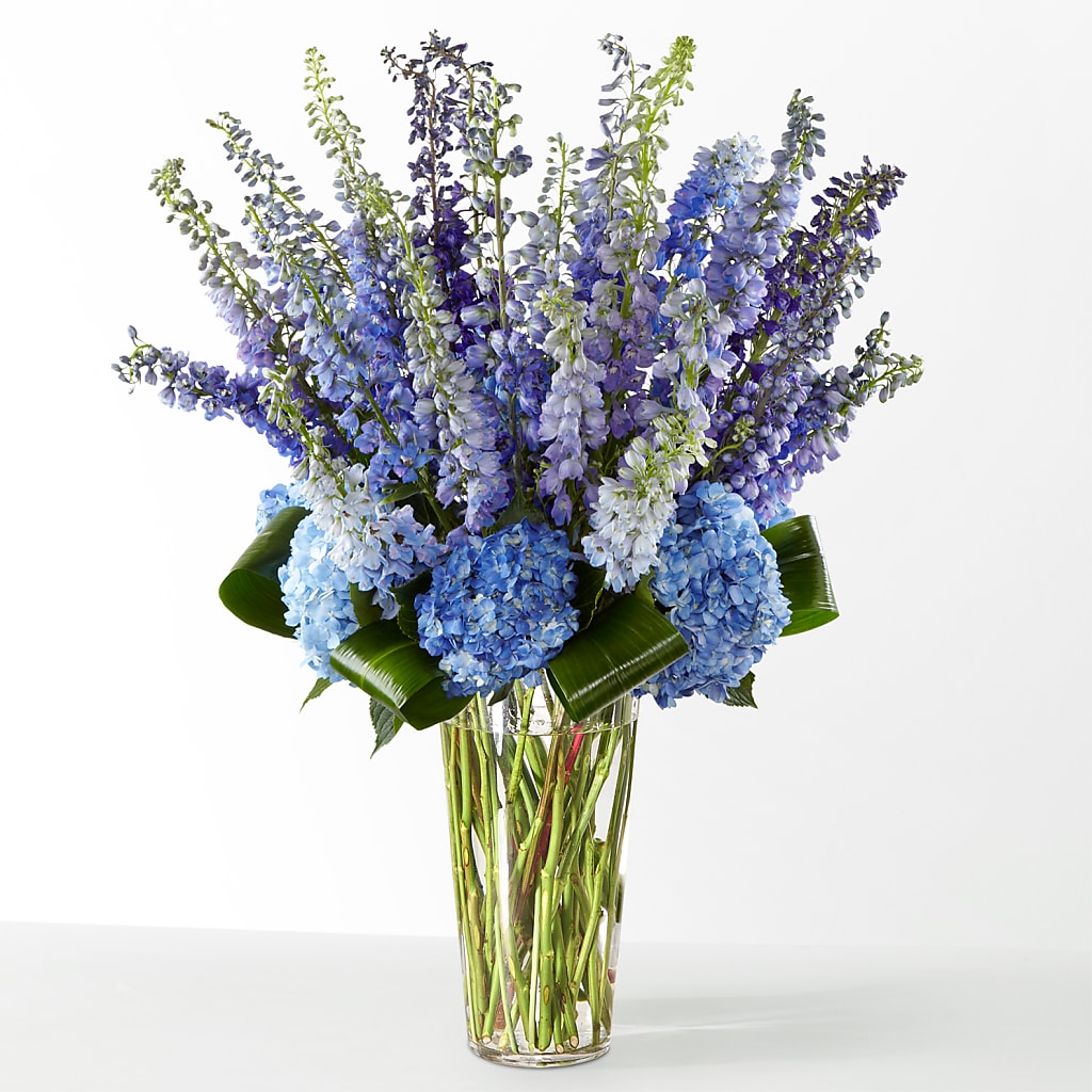 The Editorial – MARGARITA'S FLOWERS LLC, Pembroke Pines FL