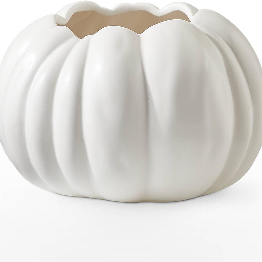 Autumn Air Pumpkin Bouquet – MARGARITA'S FLOWERS LLC, Pembroke Pines FL
